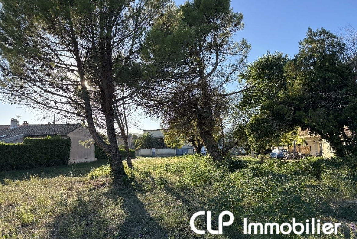 1b1d9877