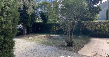 9d086082.jpg